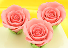 Rosen Zucker