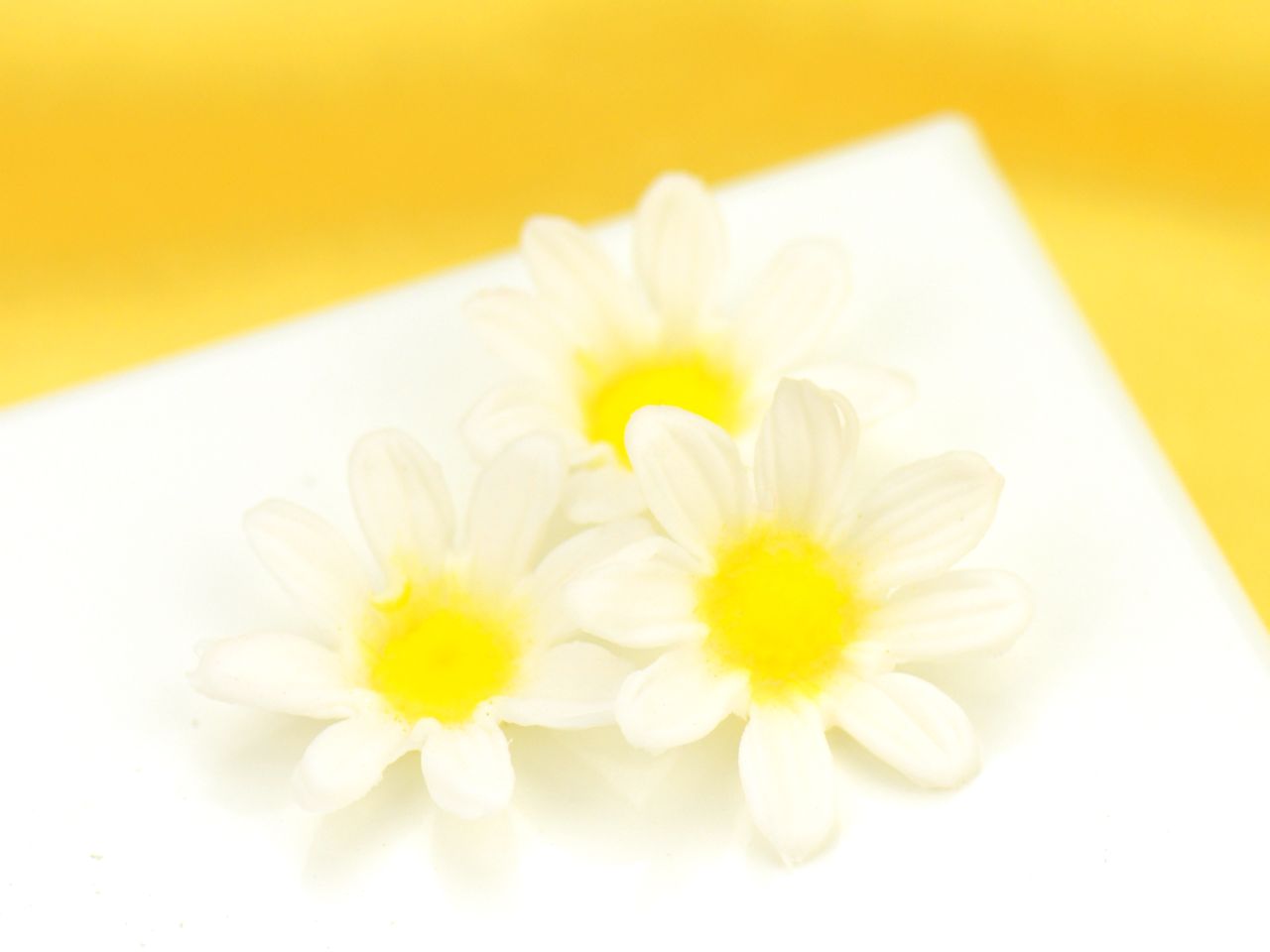 silicone cutter and veiner marguerite