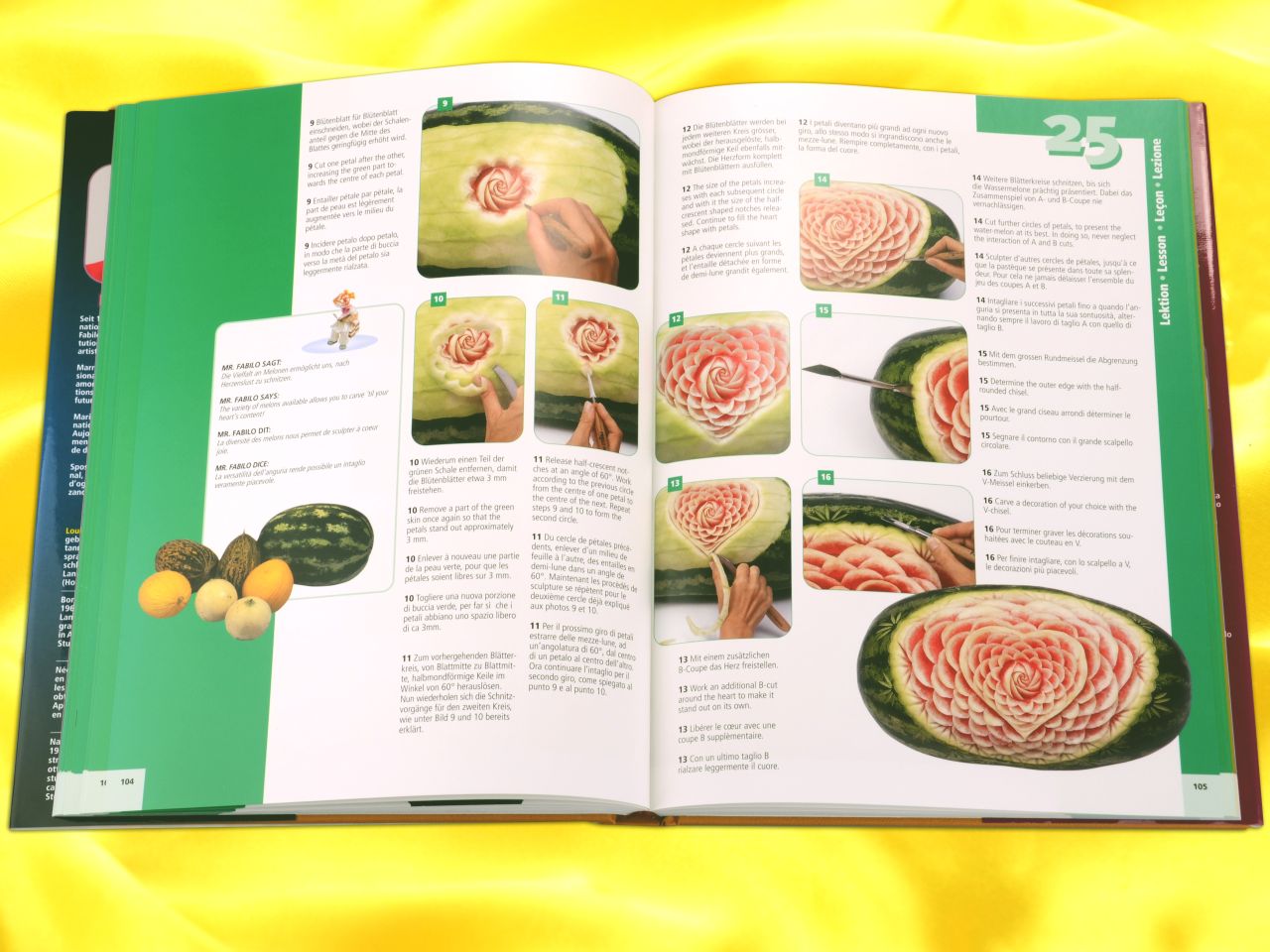das grosse lehrbuch der schaustueckartistik
