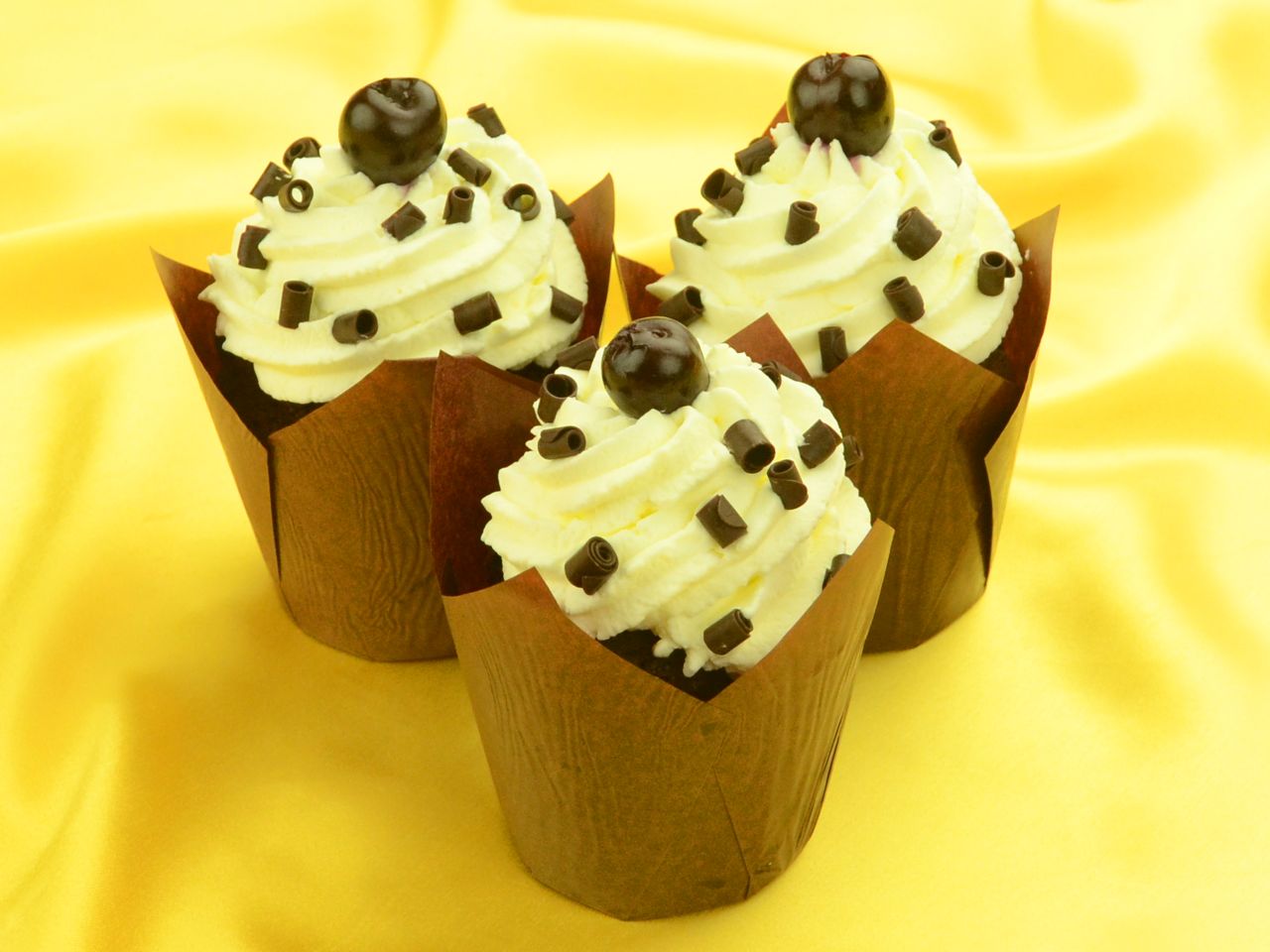 muffintulpen braun 100 stueck