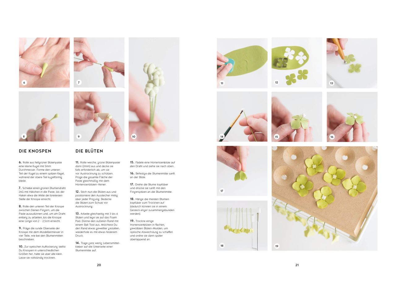 modern sugar flowers