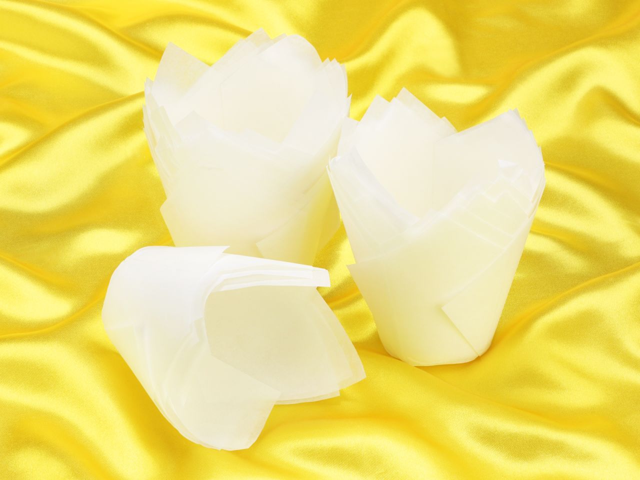 muffin tulips white 36 pieces